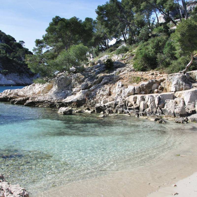 Port pin Cassis