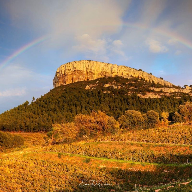Domaine de vin à Cassis